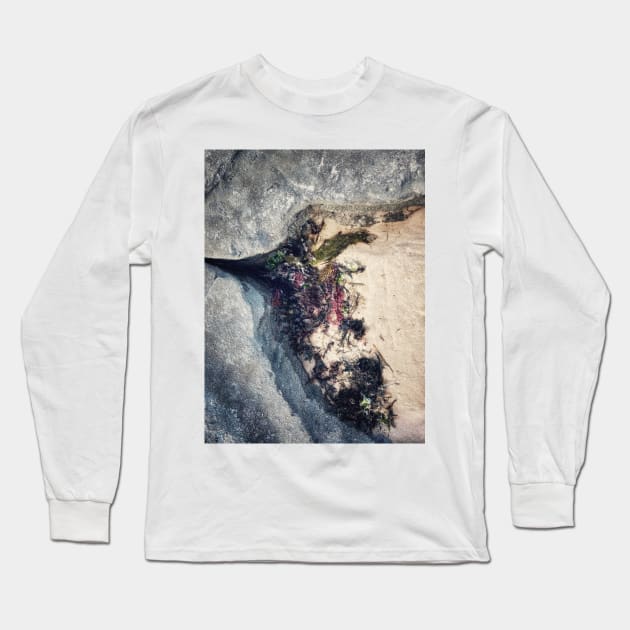 Seaweed Studies Long Sleeve T-Shirt by goodieg